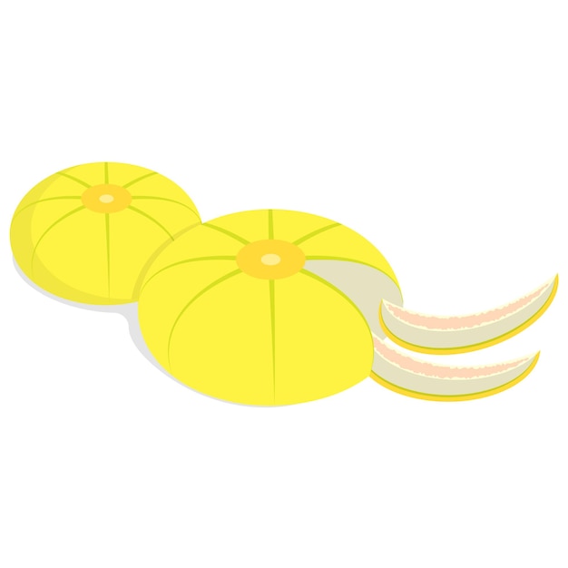 Vektor illustration einer melone mit scheiben