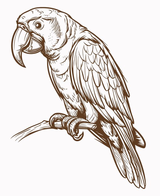 Vektor illustration eines papageien parrot malbuch