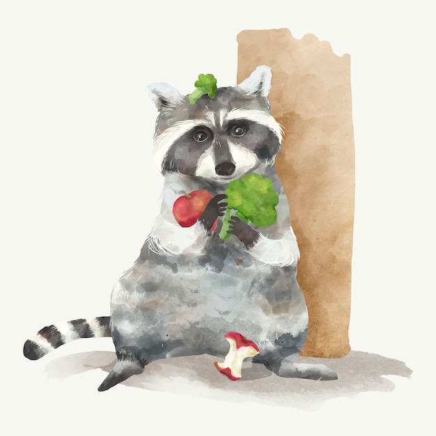 Illustration eines Waschbären