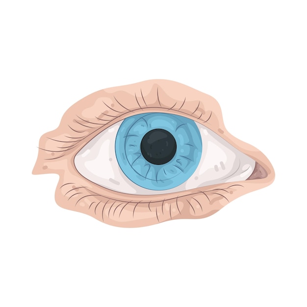 Illustration für das Auge