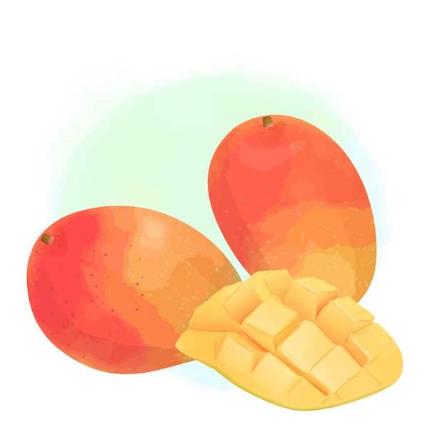 Illustration im aquarellstil, 2 ganze mangos und eine halbierte mango