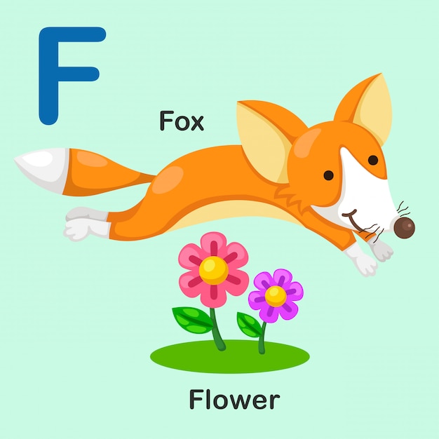 Illustration lokalisierter tieralphabet-buchstabe f-fox-blume