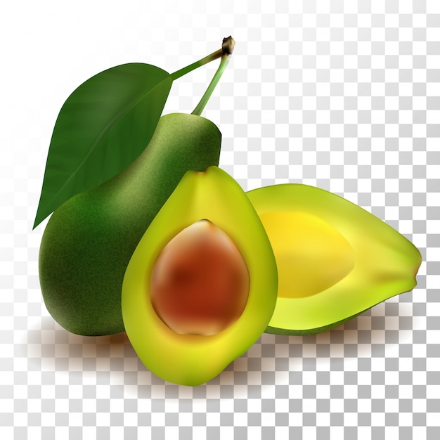 Vektor illustration realistische avocado auf transparent