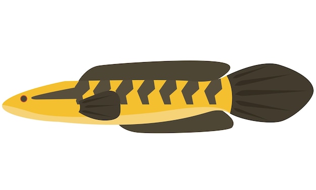 Illustration vektorgrafik des schlangenkopfffisches channa marulioides auf isolierter weißem hintergrund