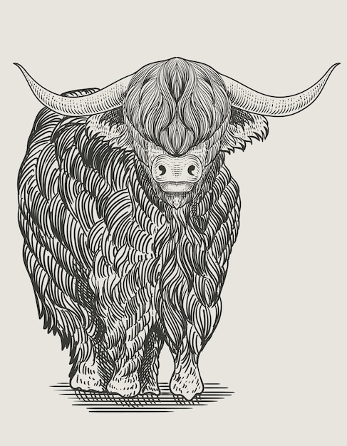 Illustration vintage stier gravur stil