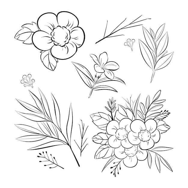 Vektor illustration von blumen im handgezeichneten stil