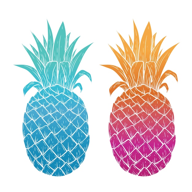 Illustration von bunten ananas auf weißem hintergrund