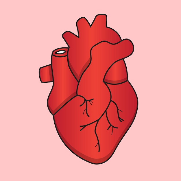 Illustration von Herz – Herzvektor – Herzzeichnung