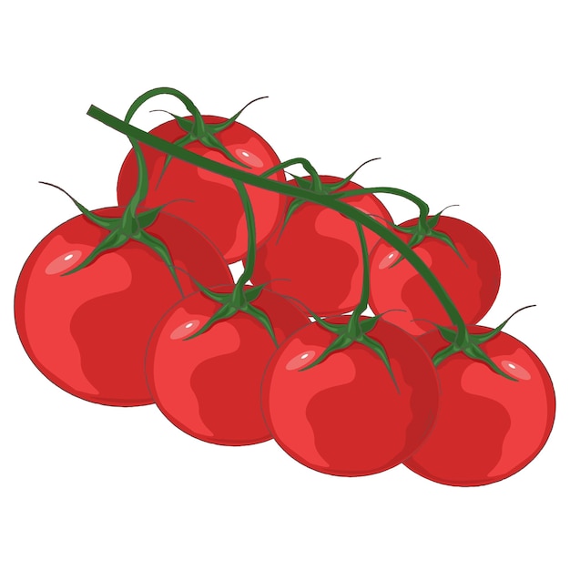 Illustration von tomaten auf einem ast