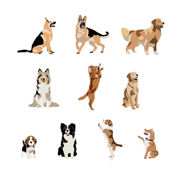 Illustration von Welpen, Hunden und Haustieren in Farbe
