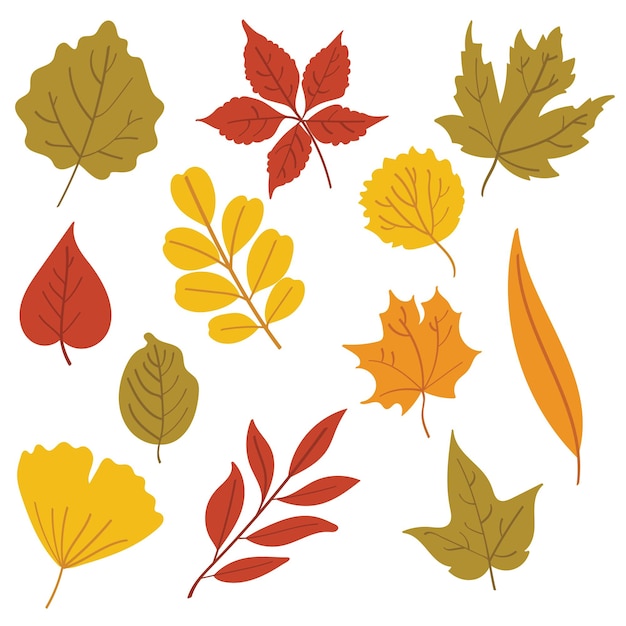 Illustrationen von bunten Blättern im Herbstillustrationsset