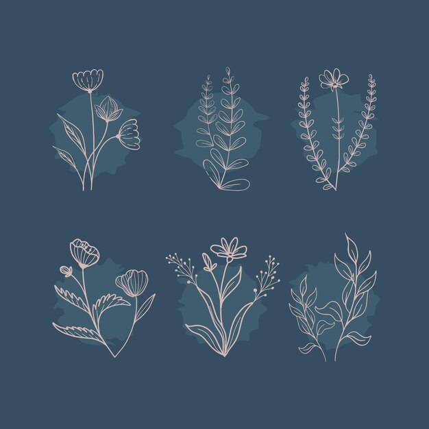 Vektor illustrationsdesign der sammlung botanischer elemente