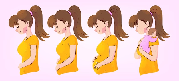 Illustrationskonzept der schwangerschaftsstadien