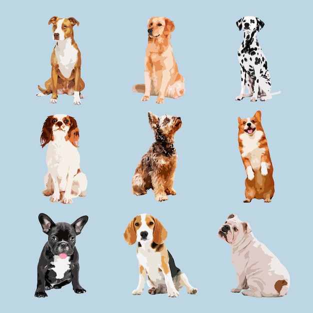 Illustrationssatz für ästhetische Vektorrassen von Hunden