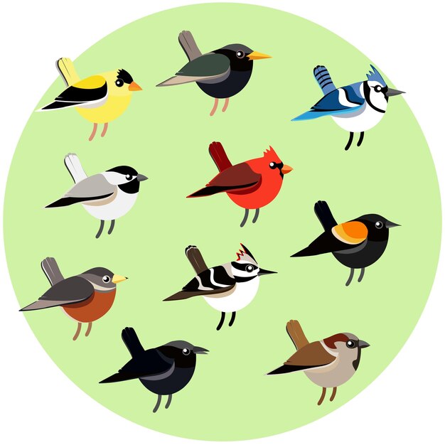 Illustrationssatz von vogelarten mit niedlicher zeichnung