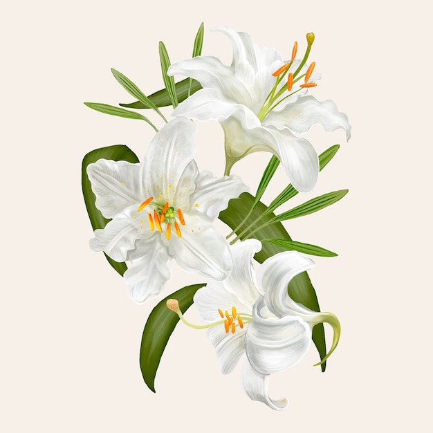 Illustrationszeichnung von Lilienblumen