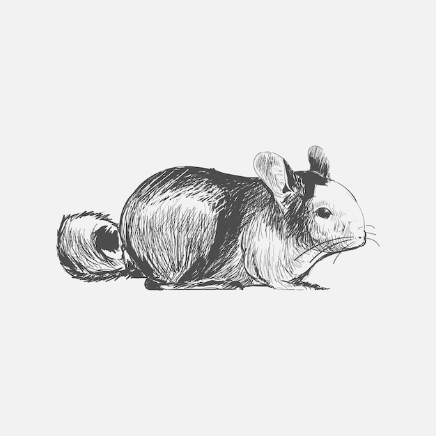 Illustrationszeichnungsart der ratte