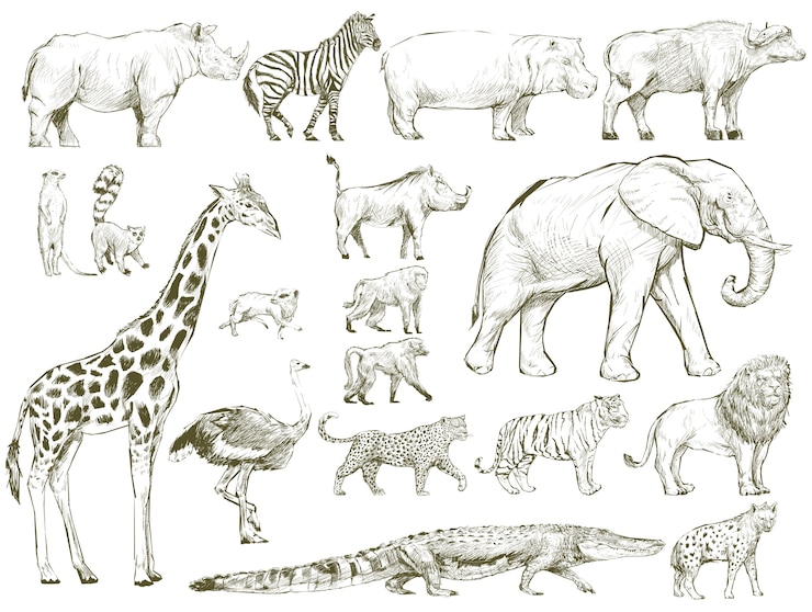 Vektor illustrationszeichnungsart der tiersammlung