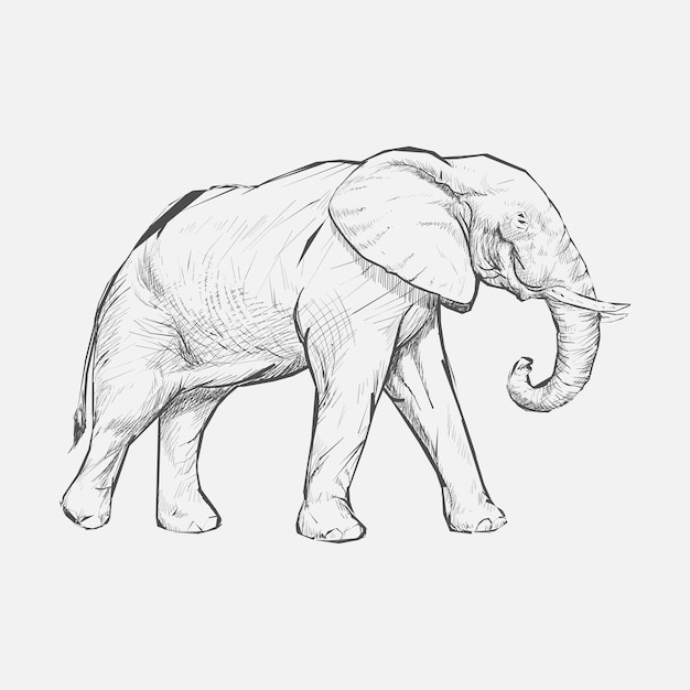 Vektor illustrationszeichnungsart des elefanten