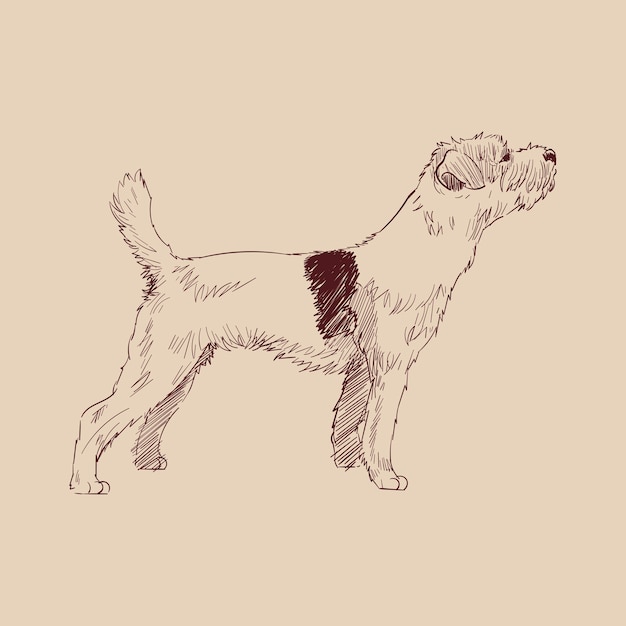 Illustrationszeichnungsart des hundes