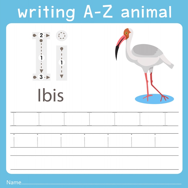 Illustrator, der ein tier von ibis schreibt