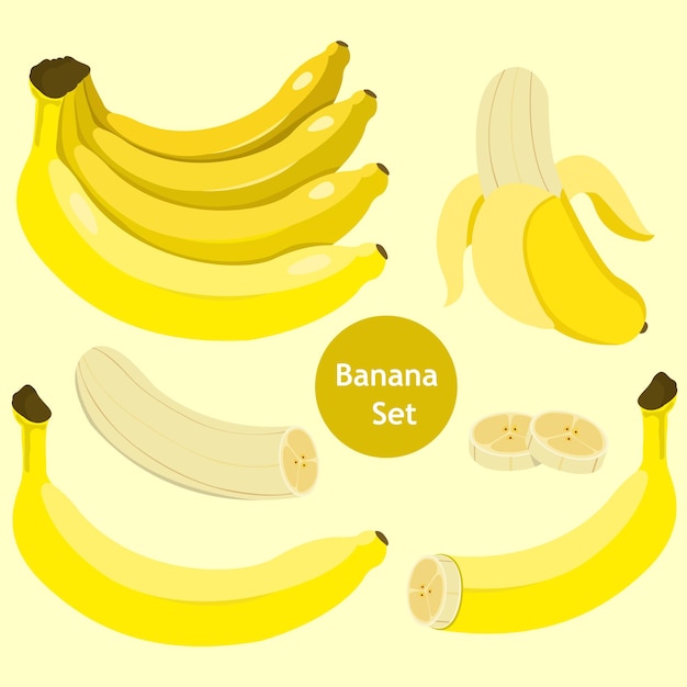Illustrator von Bananenfrüchten