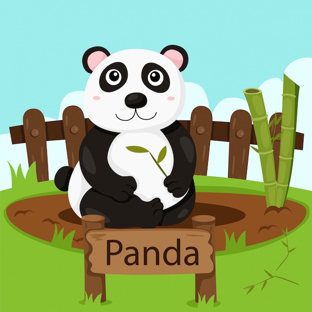 Vektor illustrator von panda im zoo