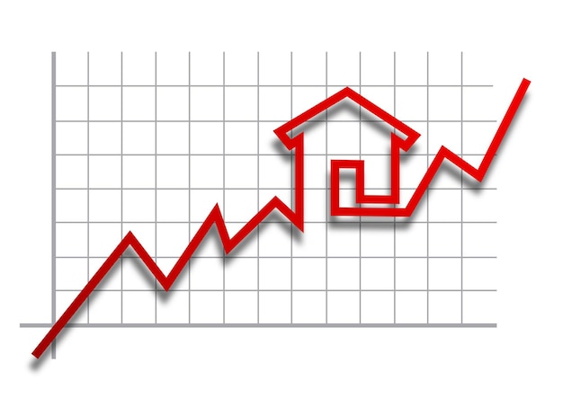 Vektor immobilienbörse