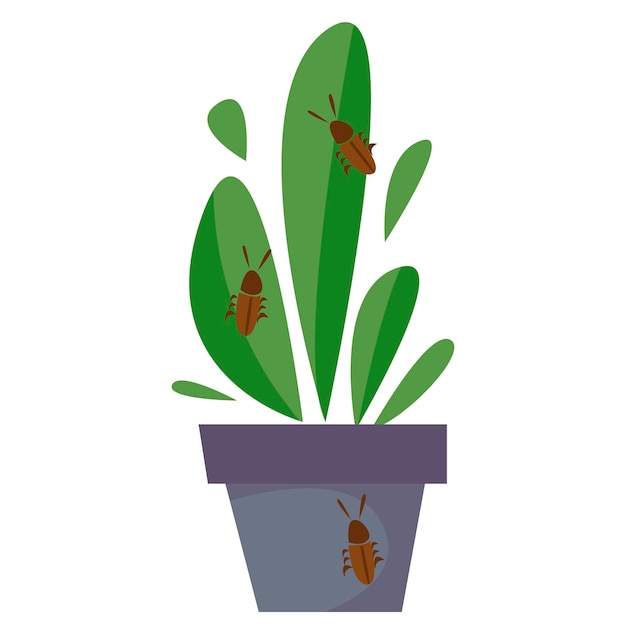 Vektor infizierte hauspflanze. der schädling kriecht auf eine blume. vektor-illustration eines flachen stils.