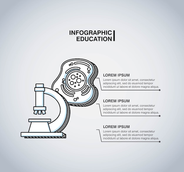 Infografik bildung präsentation symbole