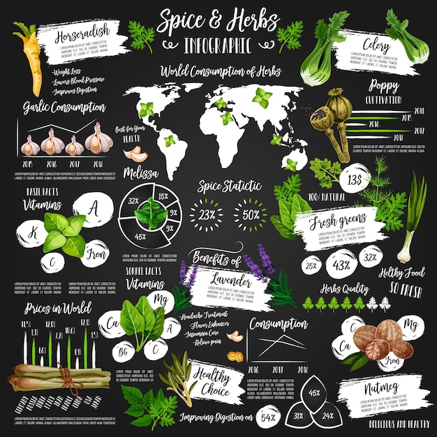 Infografik für poster mit gewürz- und kräuterstatistiken