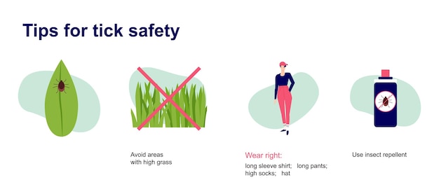 Infografik tipps zur zeckensicherheit so schützen sie die haut vor dem krankheitsrisiko des braunen parasiten