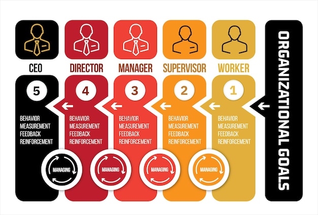 Infografik über die Ziele der Organisation