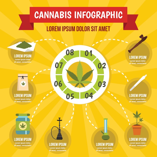 Infografik-vorlage für cannabis, flacher stil