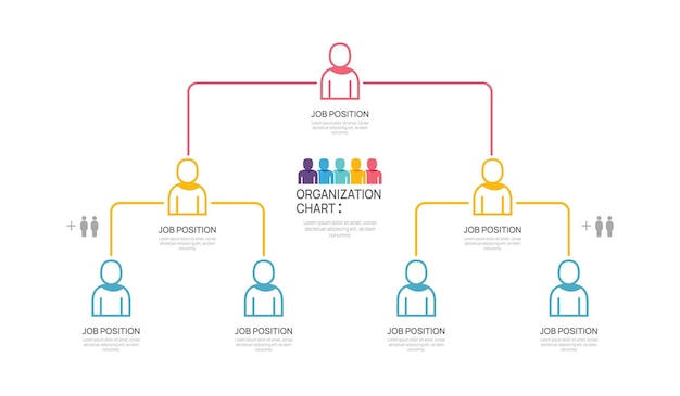 Infografik-vorlage für organigramm mit business-avatar-symbolen, vektor-infografik für unternehmen