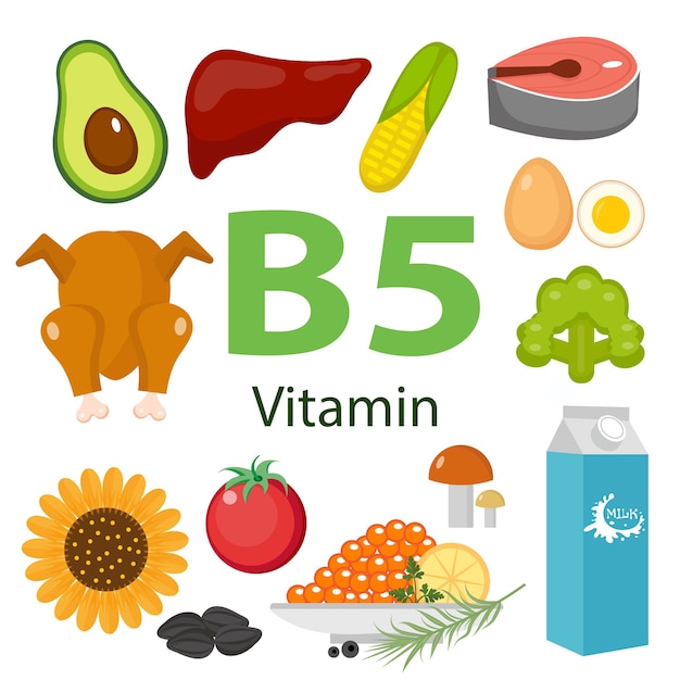 Informationen zu gesundheitlichen vorteilen von vitamin b5