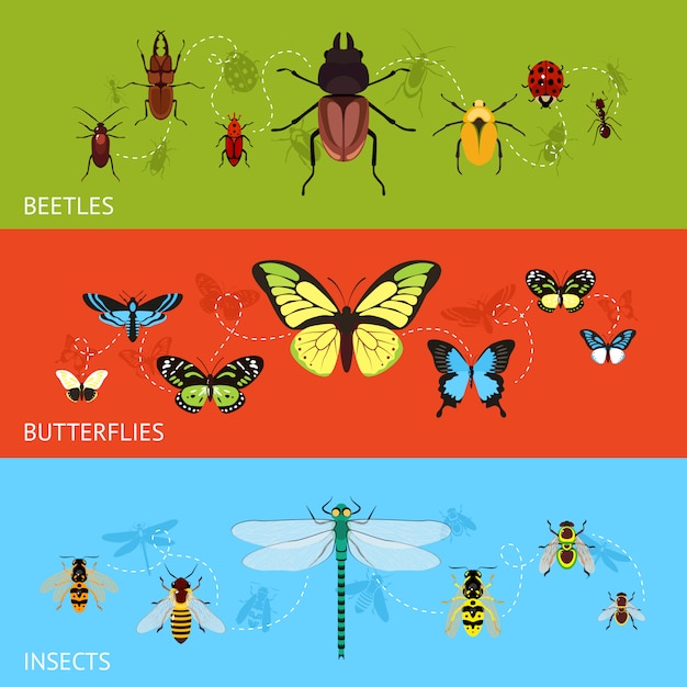 Vektor insekten-banner-set