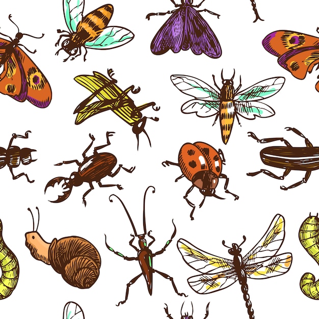 Insekten skizzieren nahtlose musterfarbe