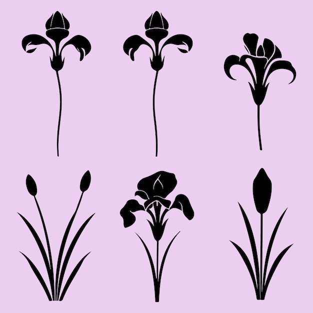 Irisblume schwarze Silhouette Vektor Clip-Art