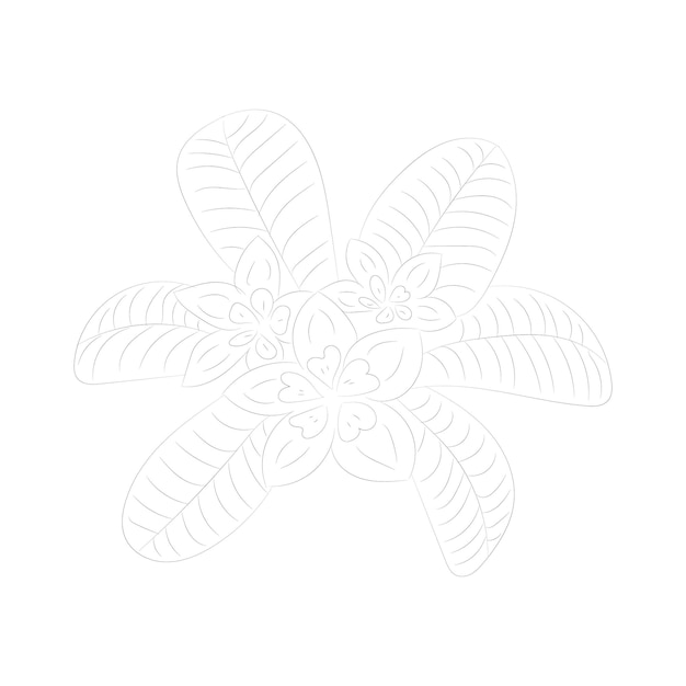 Isolierte Baumrose Blume Handzeichnung Strichzeichnungen mit Blättern