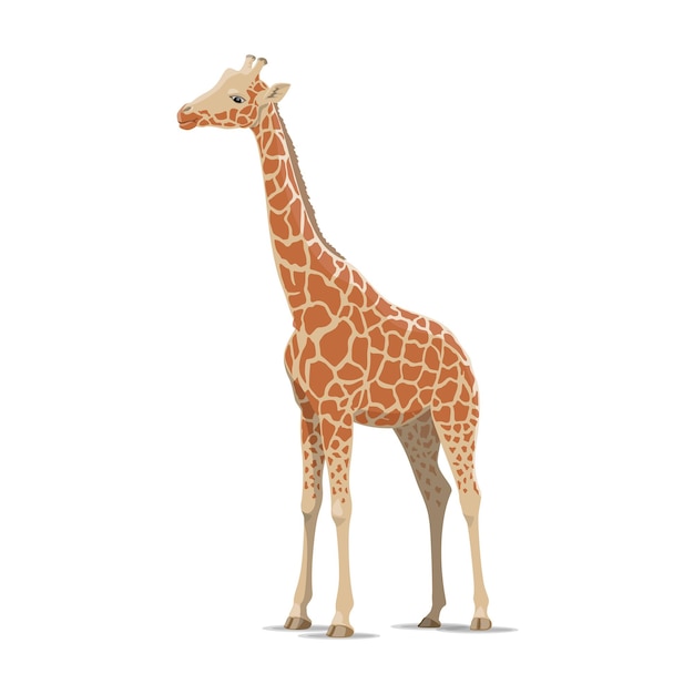 Isolierte ikone des wilden tieres des giraffenvektors