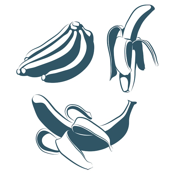 Isolierte Skizze einer Bananen-Vektor-Illustration