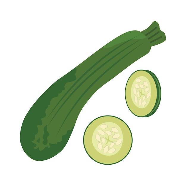 Isolierte Vektorillustration einer grünen Zucchini auf weißem Hintergrund