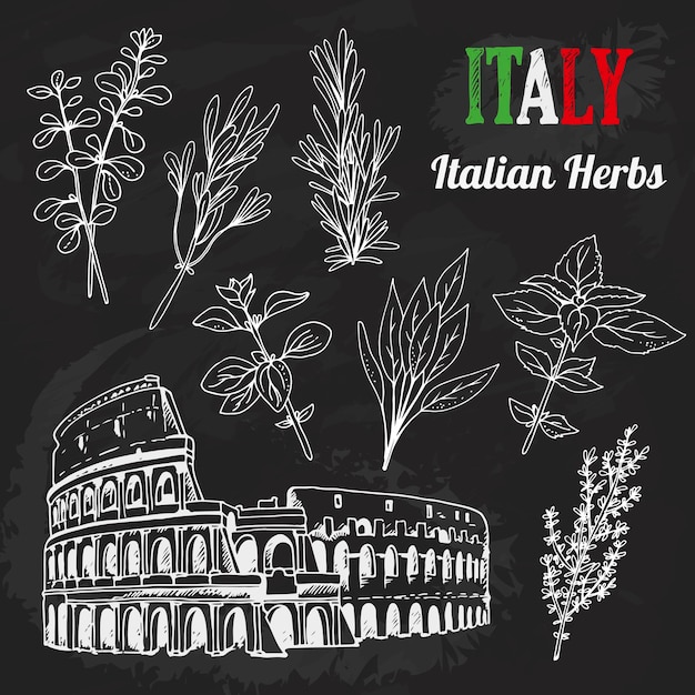 Vektor italienische kräuter vektor-set handgezeichnete sammlung von architektur-food-schriftzügen