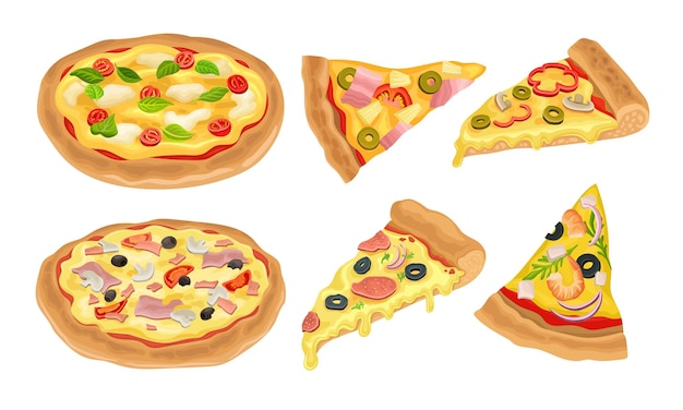 Italienische Pizza-Vektor-Illustriertes Set Farbiges Restaurant Geschmackvolle Isolierte Ernährung Margarita und Pepperoni Pizza-Konzepte