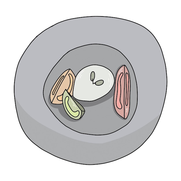 Vektor italienischer burrata-käse mit tomaten, frischer salat, gesunde ernährung, handgezeichnete illustration, geeignet für menü- und kochbuchrestaurants