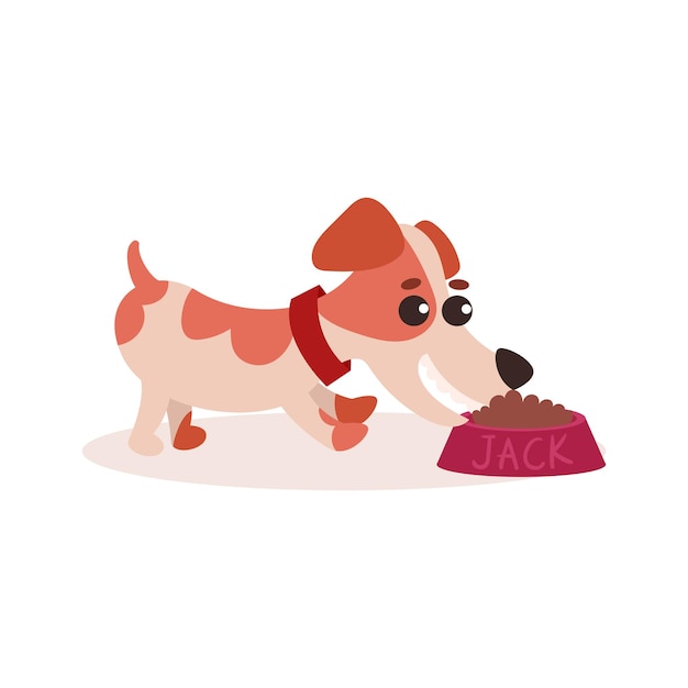 Vektor jack-russell-terrier-charakter, der hundefutter aus ihrem teller isst, niedliche lustige hundevektorillustration auf einem weißen hintergrund