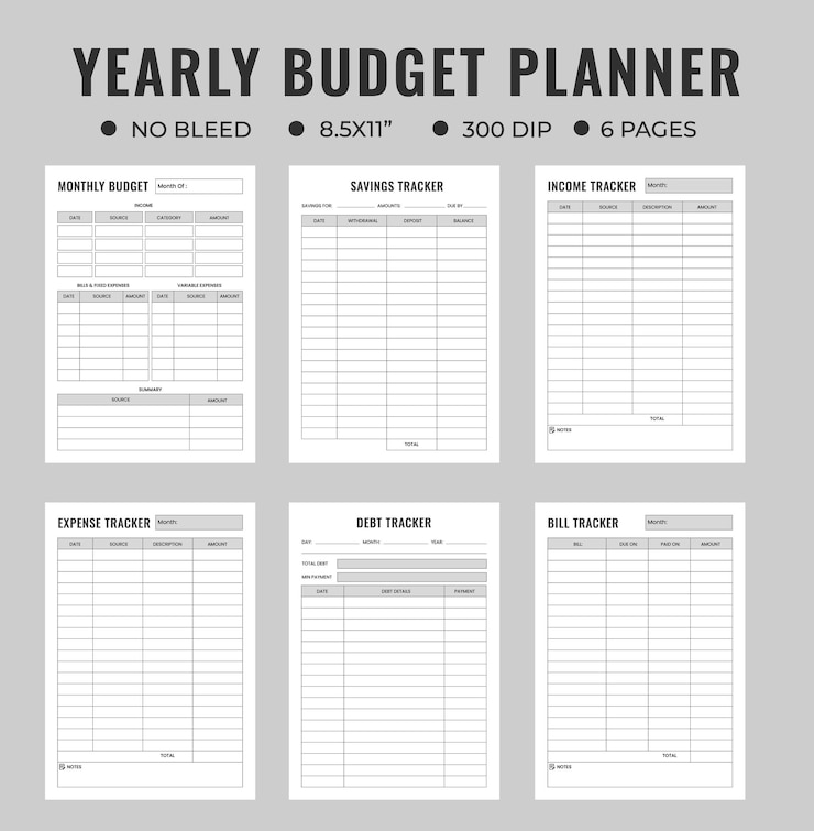 Vektor jährlicher budgetdiagrammplaner oder notizbuchprotokoll