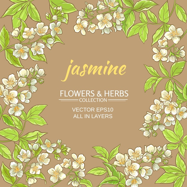 Jasmin-Vektorrahmen