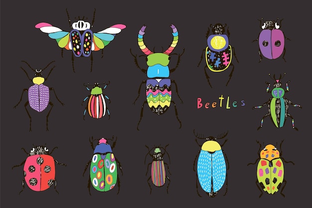 Vektor käfer insekten vektorgrafiken set